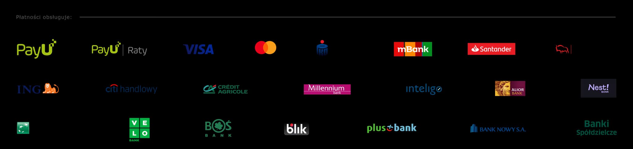 Płatności obsługuje PayU, Visa, Mastercard, Blik, mBank, Santander, Pekao, PKO BP, ING, Citi, Millennium i inne